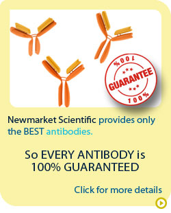 Antibody guarantee