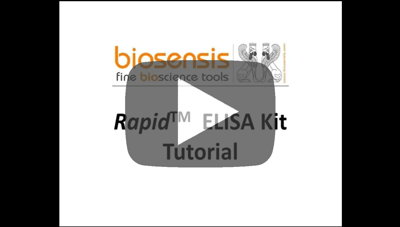 Click for the Biosensis BDNF ELISA Tutorial