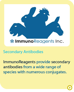 Immunoreagents