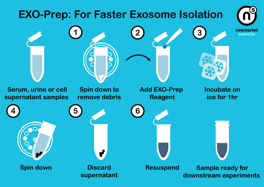 EXO-Prep - Exosome Isolation
